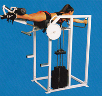 Reverse Hyper Backmaster